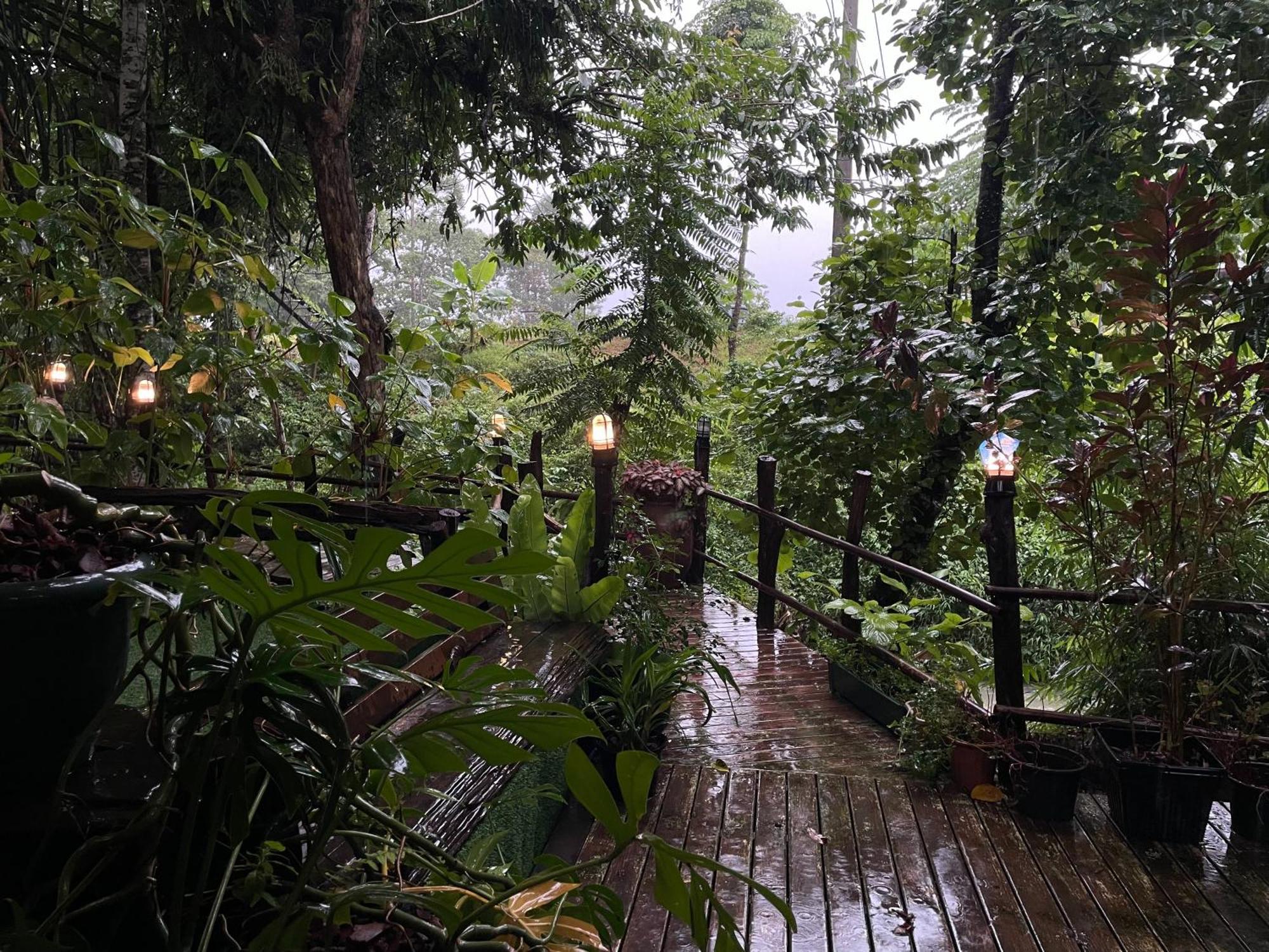 Khaosok Farmstay Khao Sok National Park Exterior photo